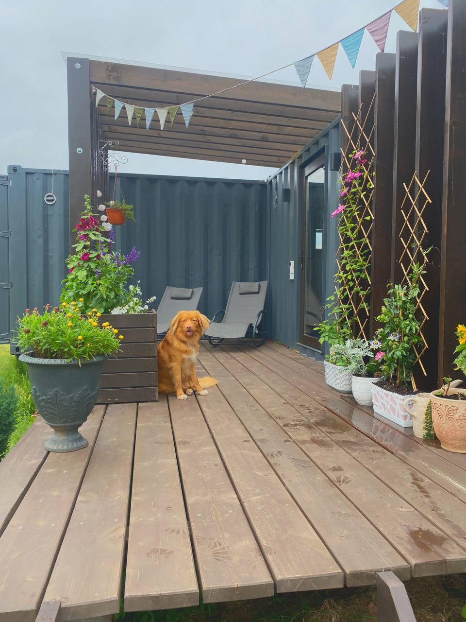 Лес и Луга - photo 2