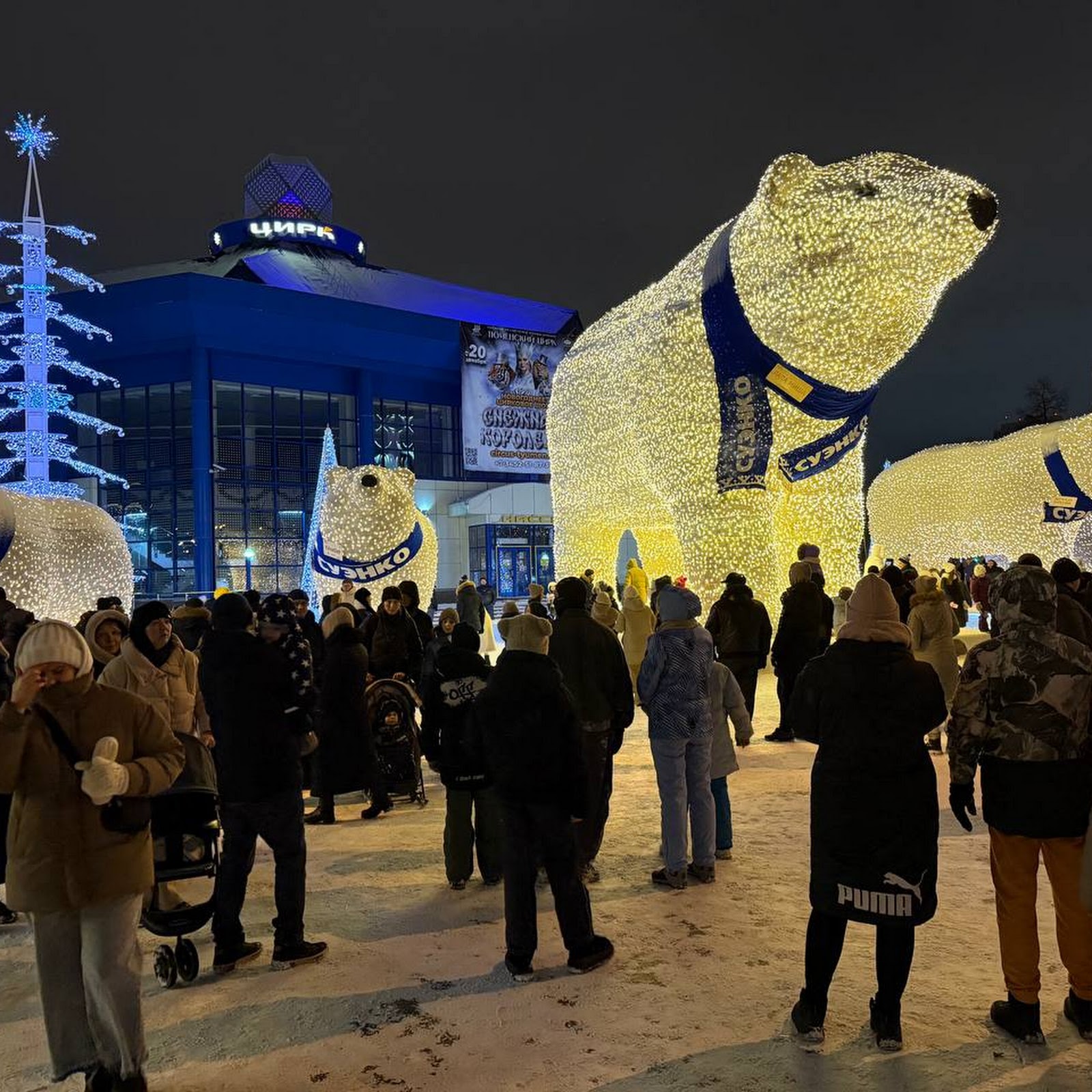 Сокол - photo 4