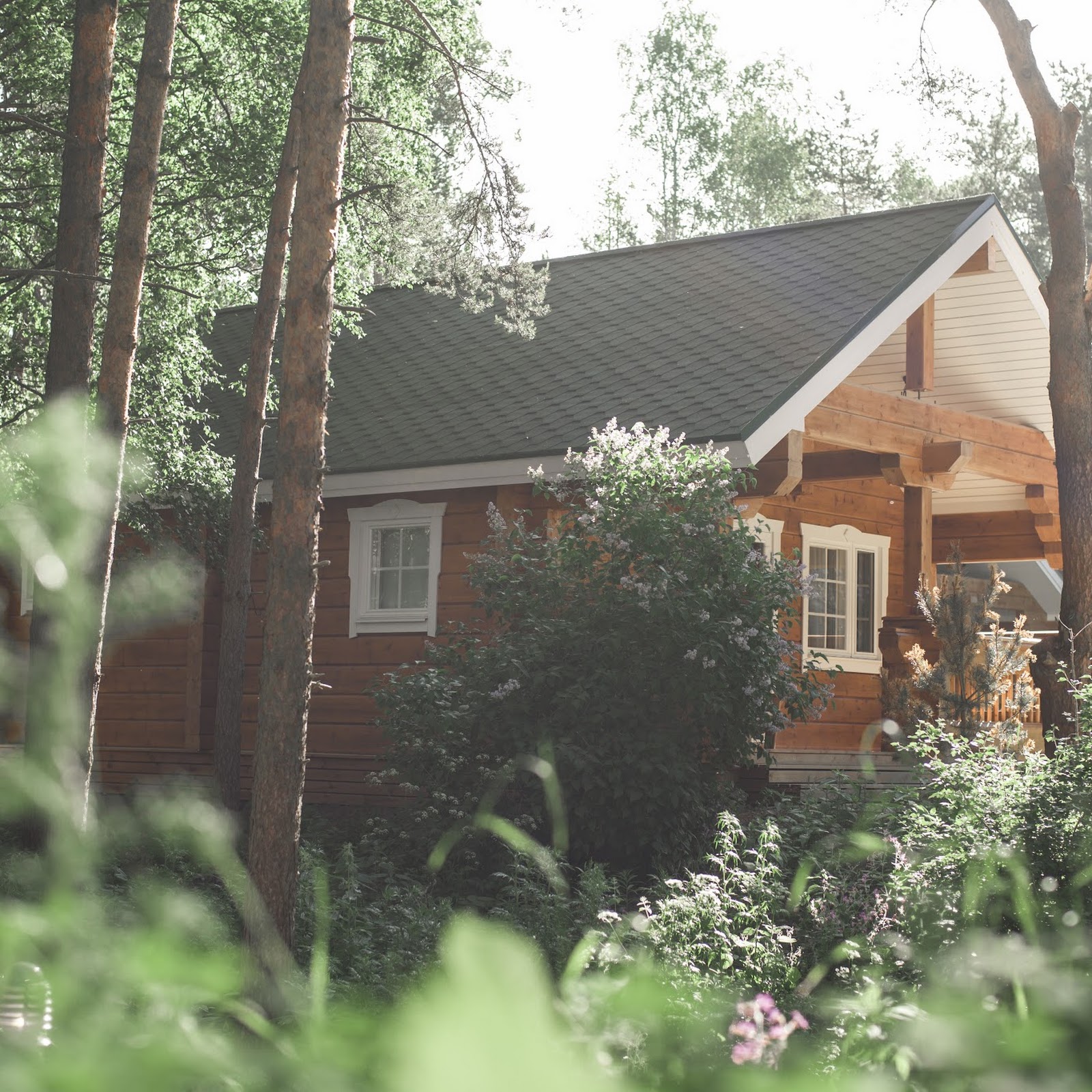 Белая Чайка - photo 2