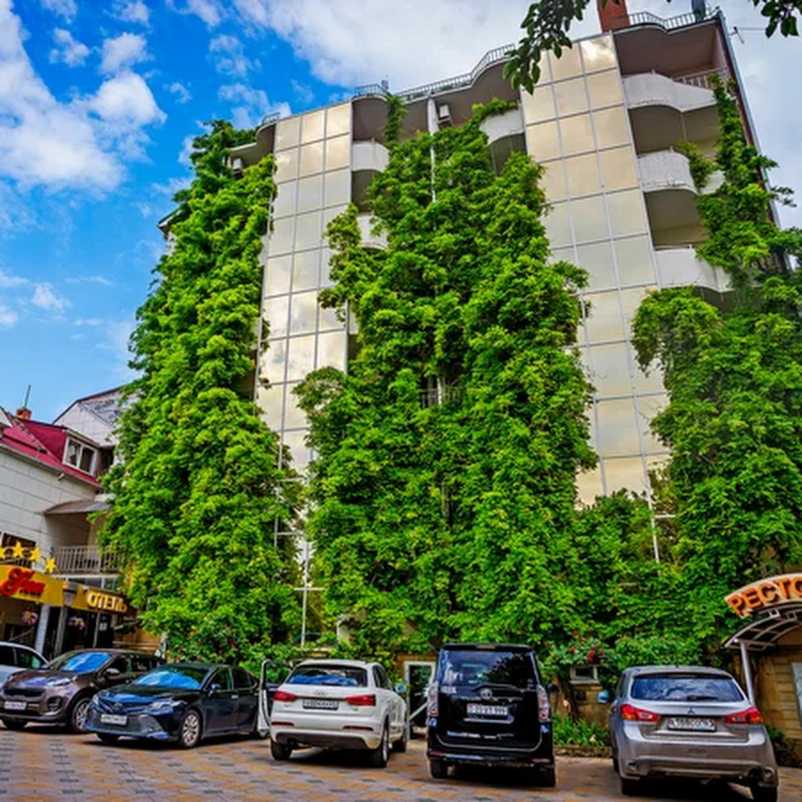 Визит - photo 4