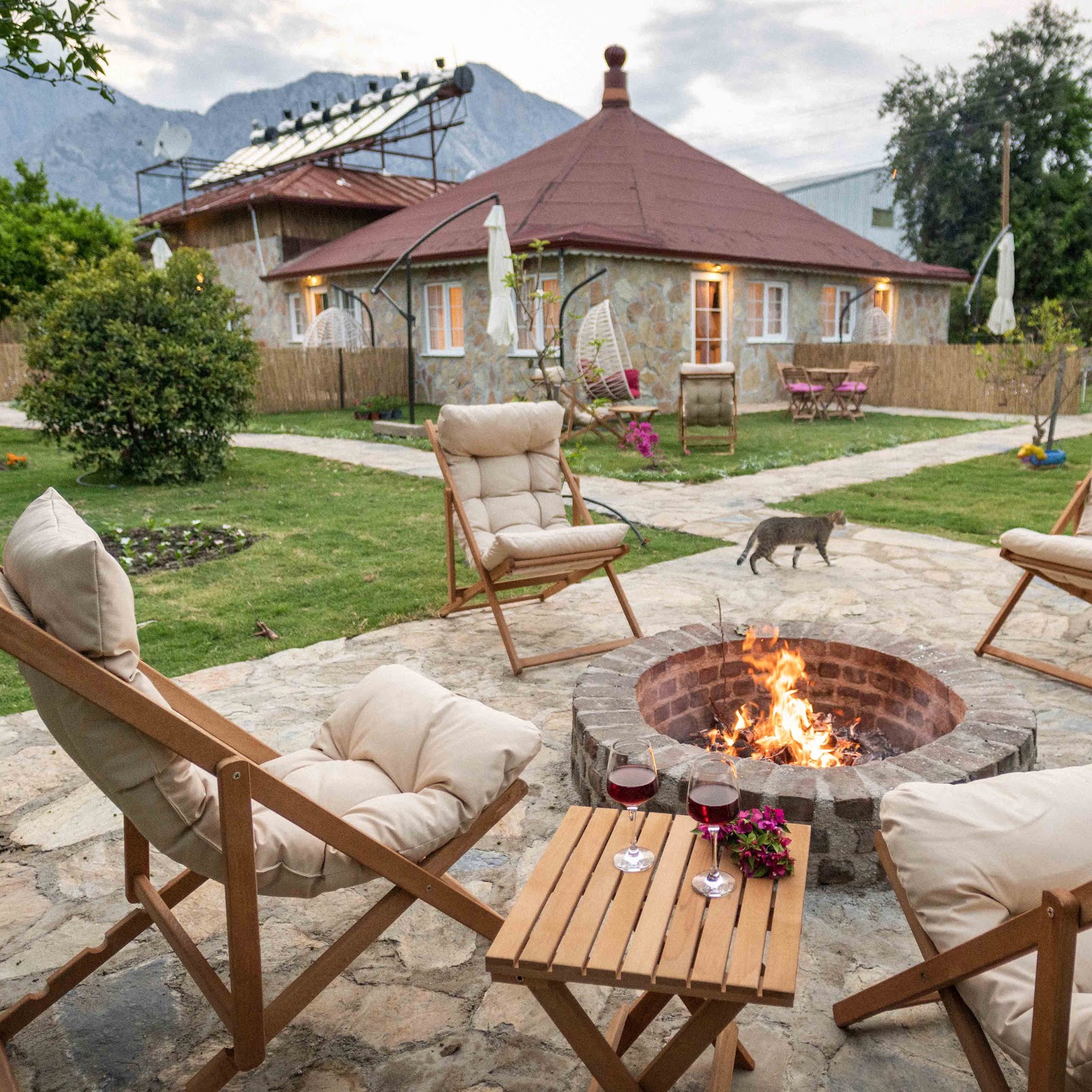 Форест - photo 2