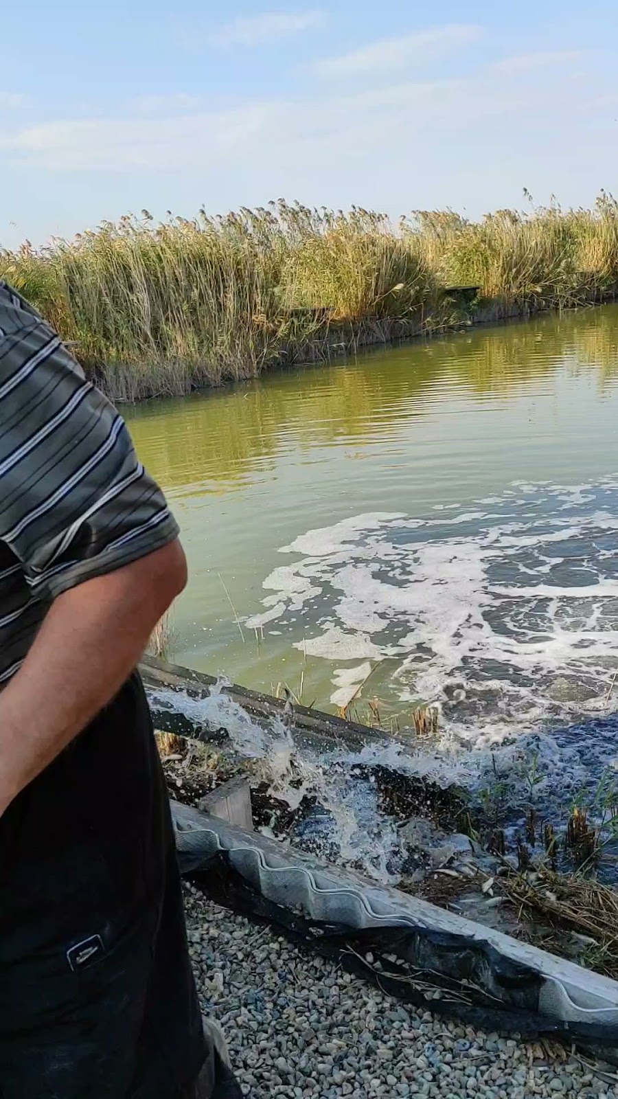 База отдыха "Юность" - photo 2