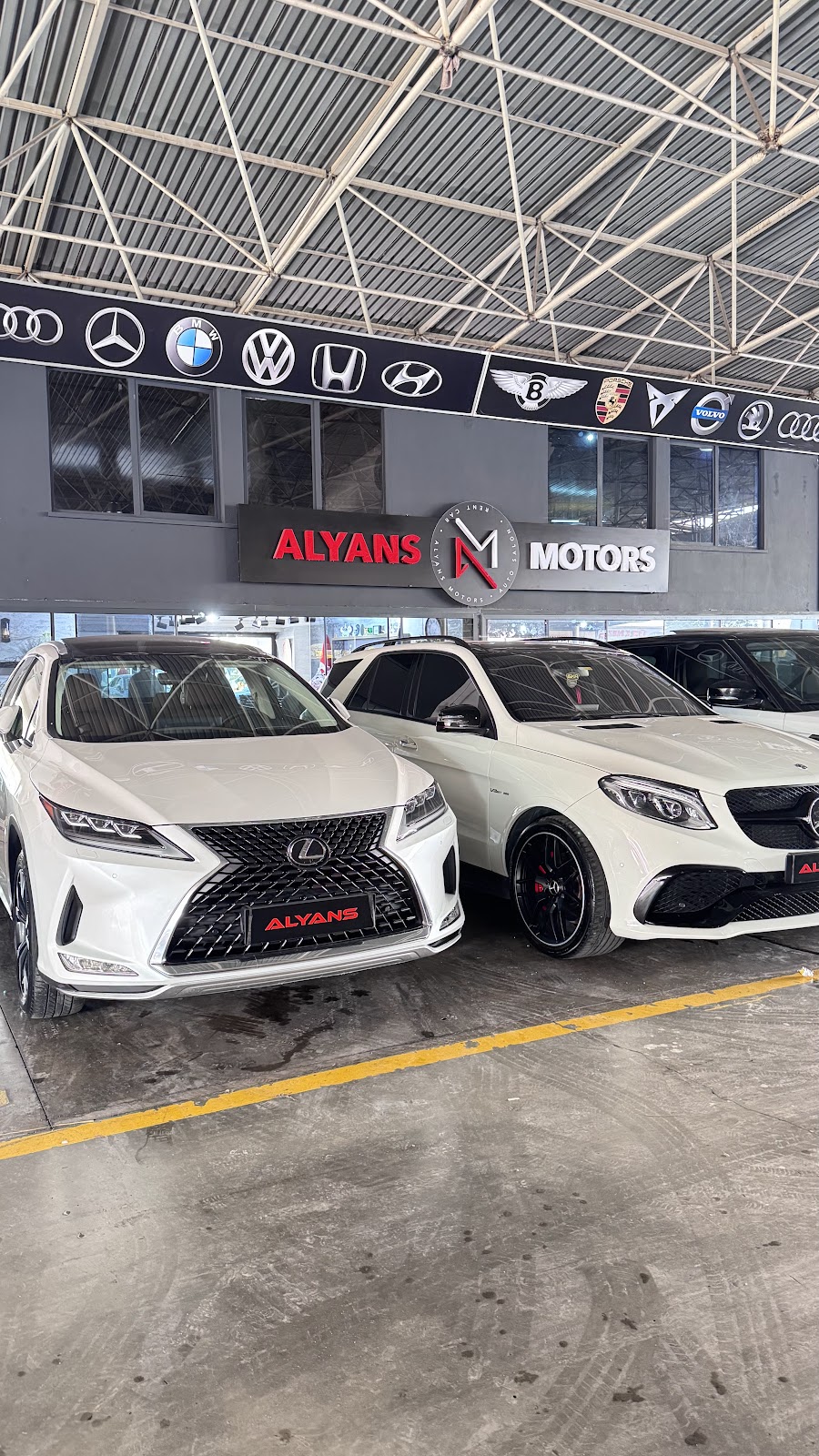 Альянс - photo 4