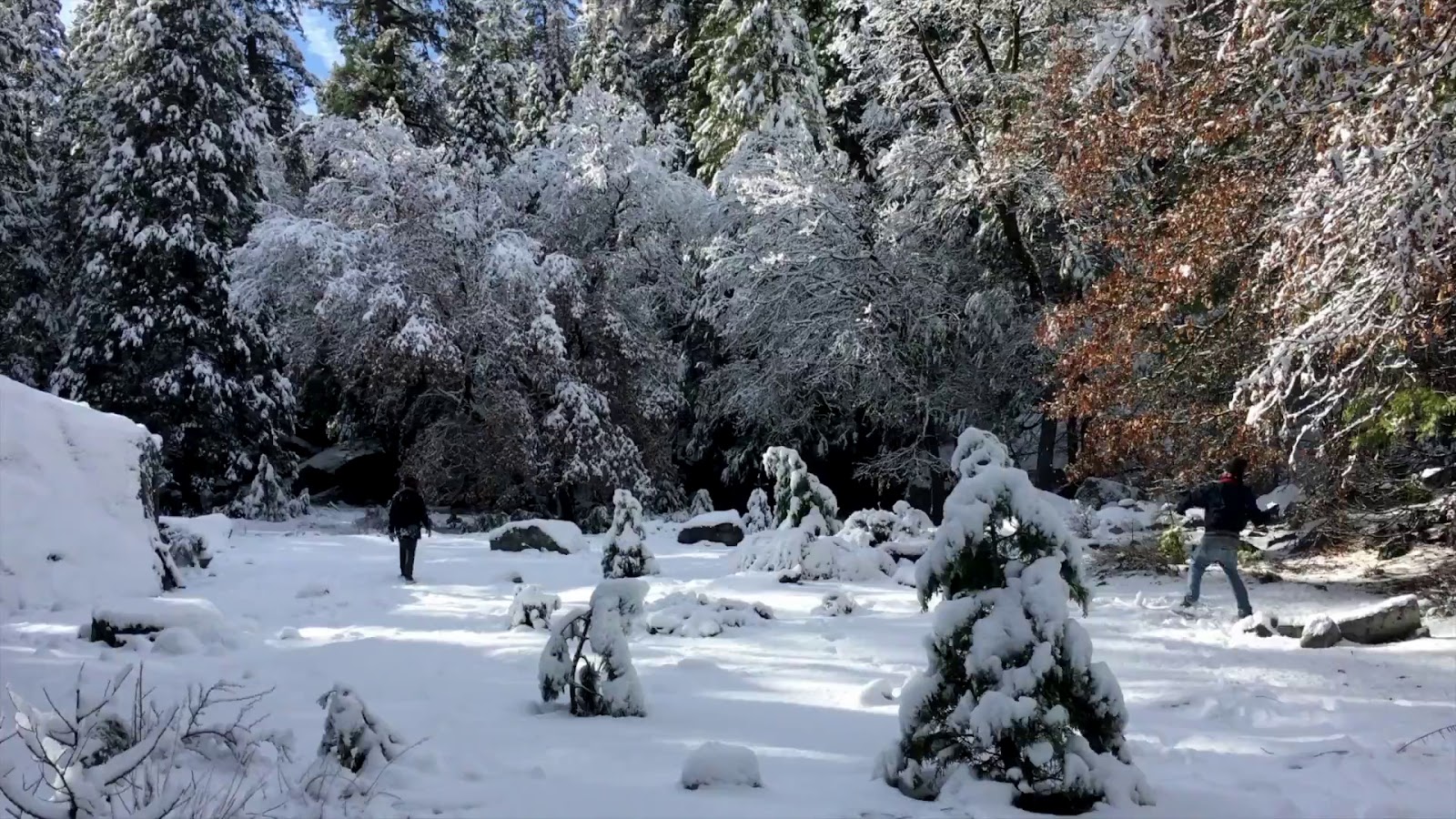 Эко клуб "Оленья Гора" - photo 5