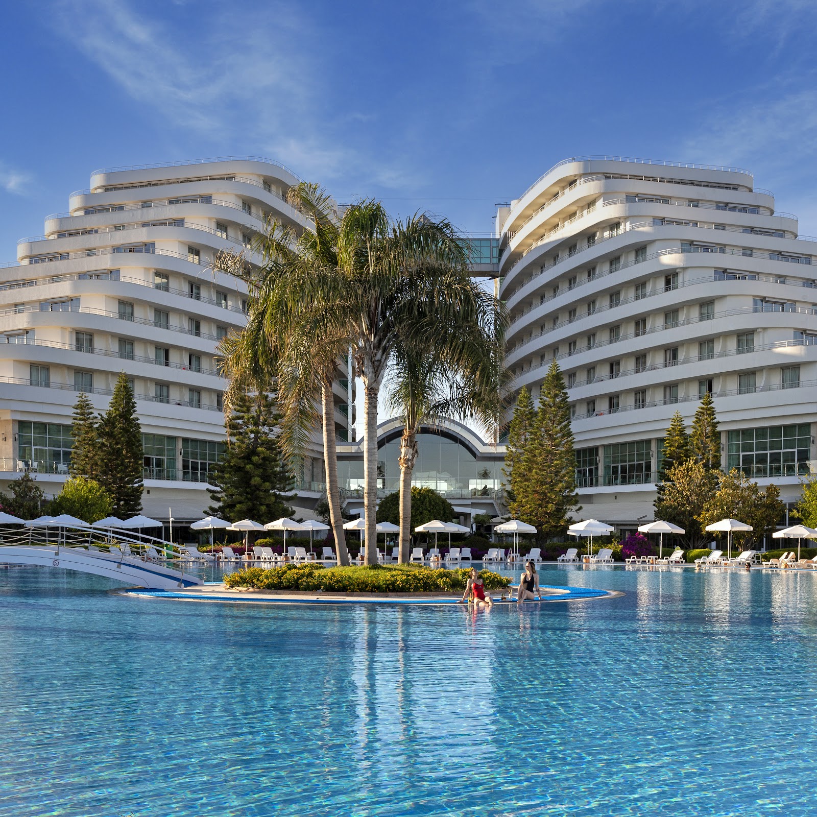 Дельфин - photo 3