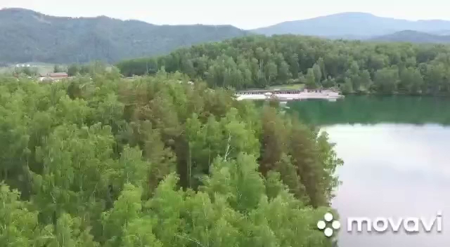 Березка Ая - photo 4