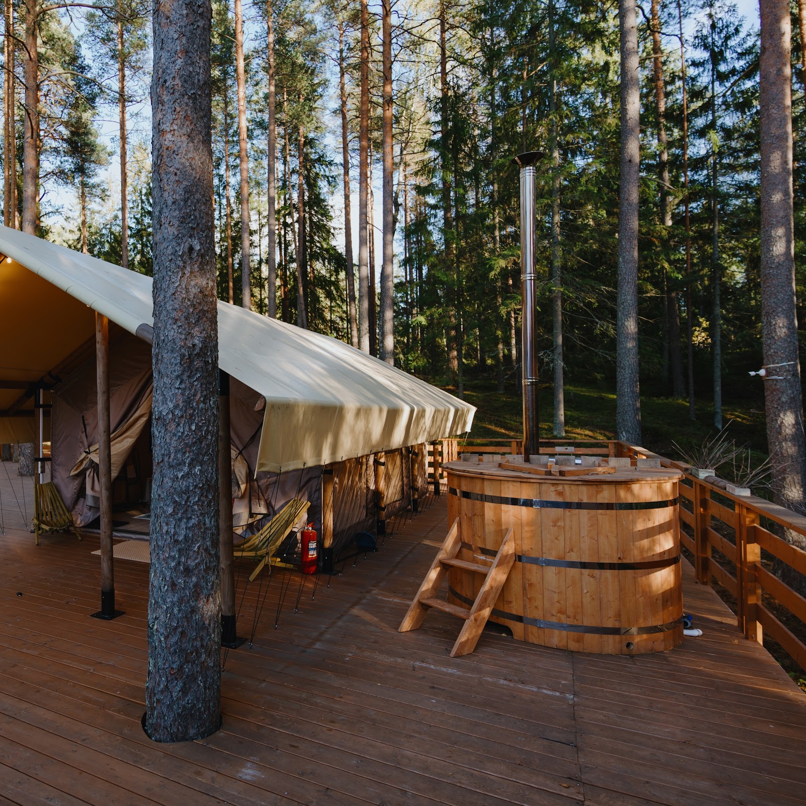 Огоньки - photo 3