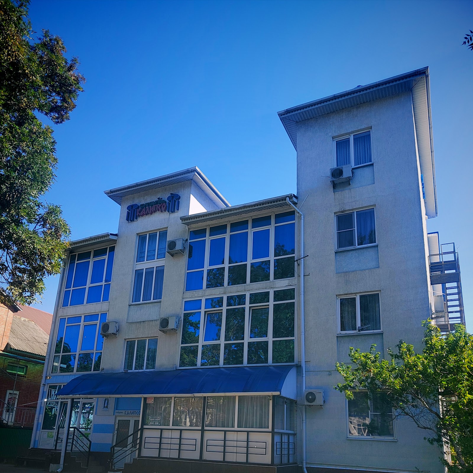 Альбатрос - photo 3