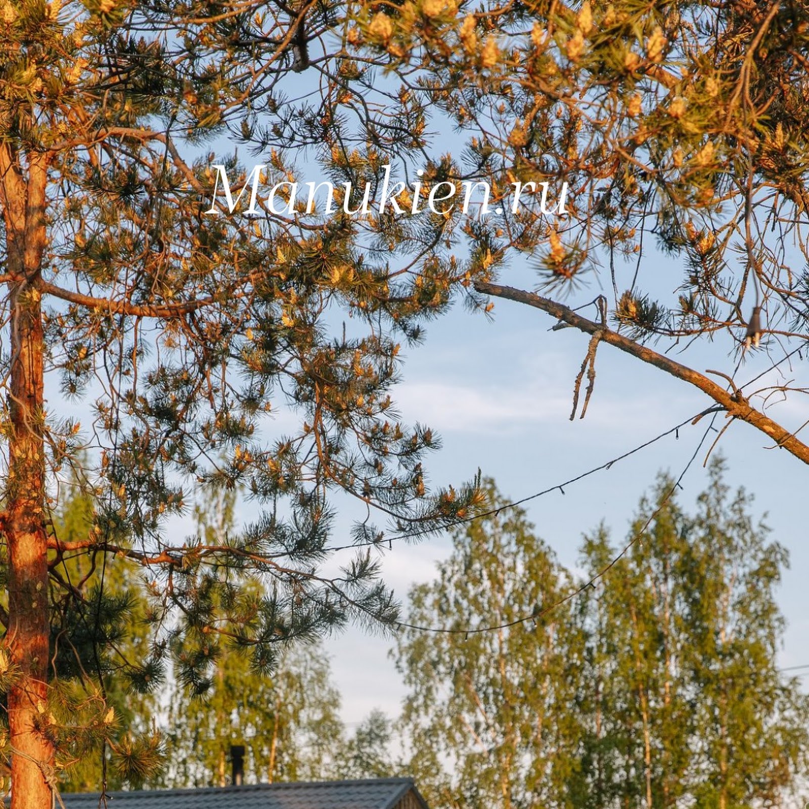 Отель "Надежда" - photo 2