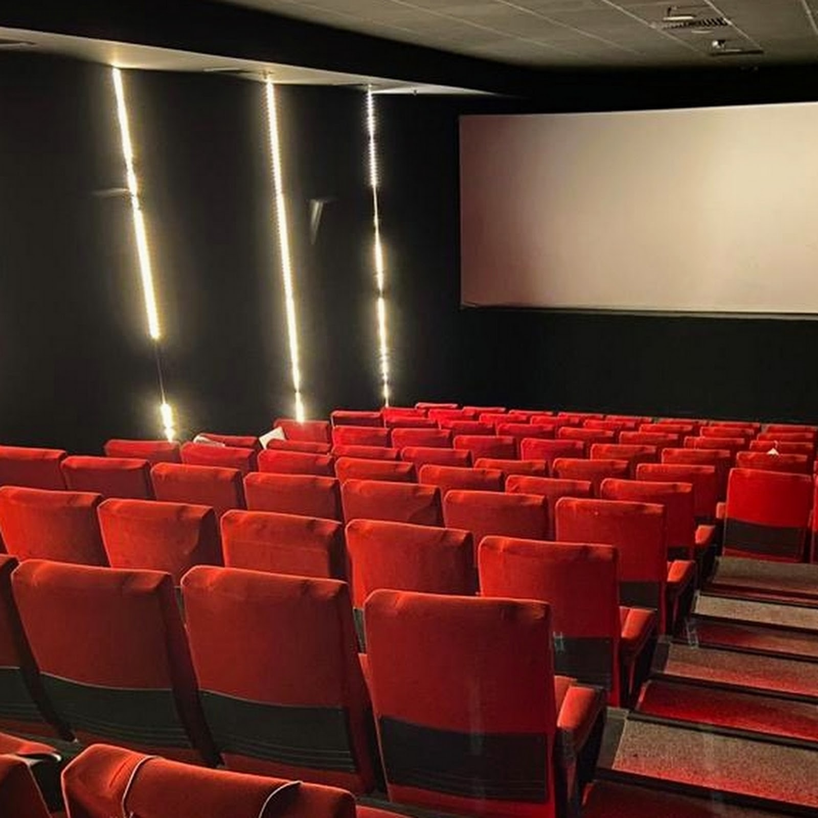 Астера - photo 3