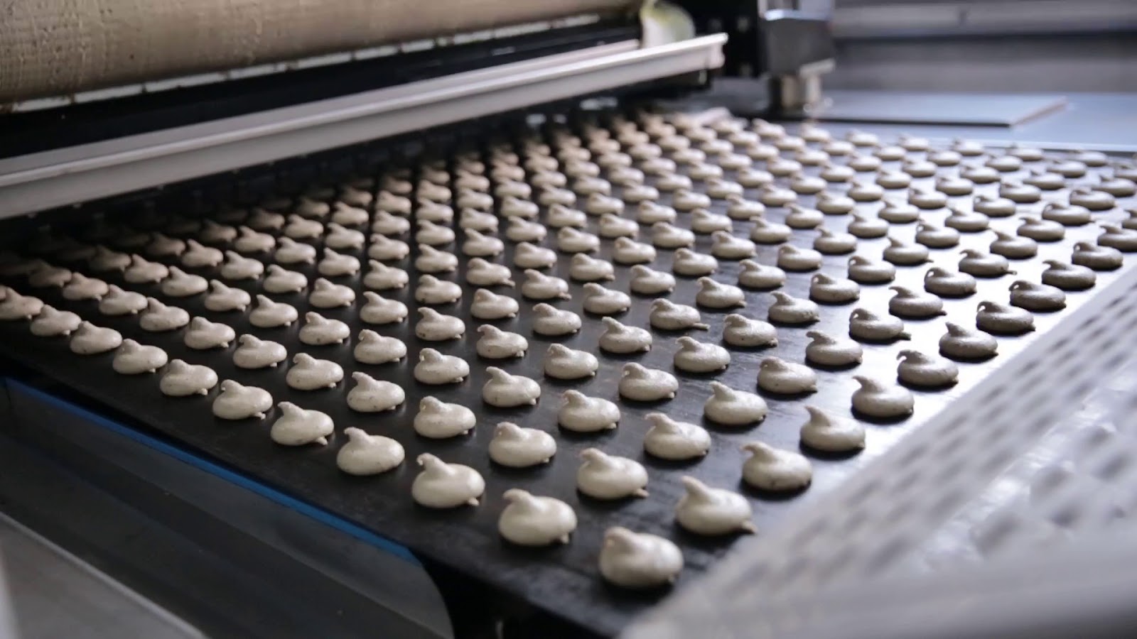 Родной берег - photo 4