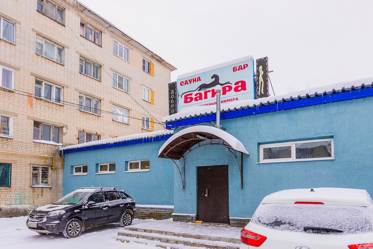 Багира - photo 2