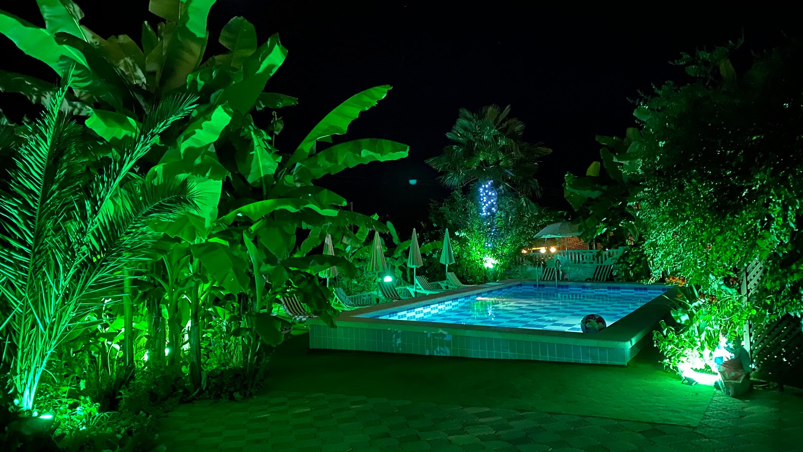 Фламинго - photo 4