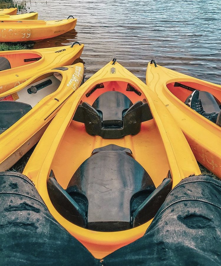 Вырицкие тарханы