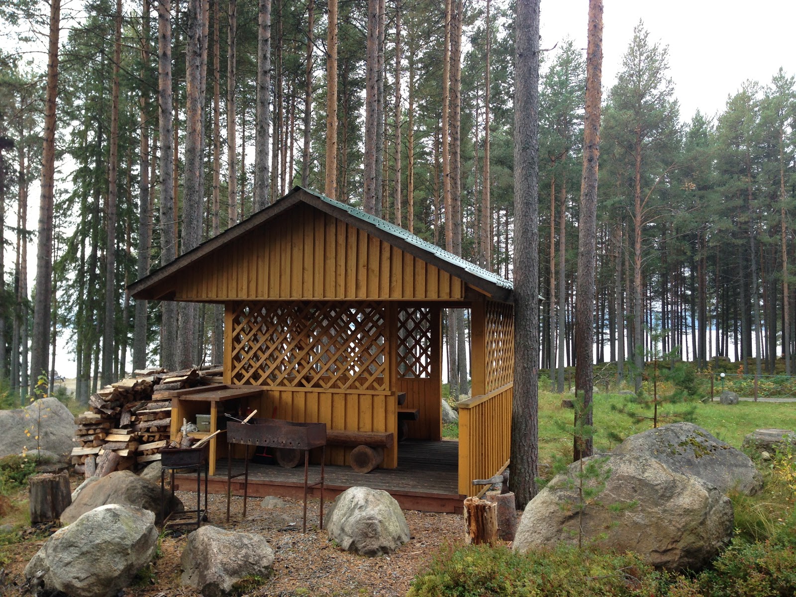 Солнечный - photo 4