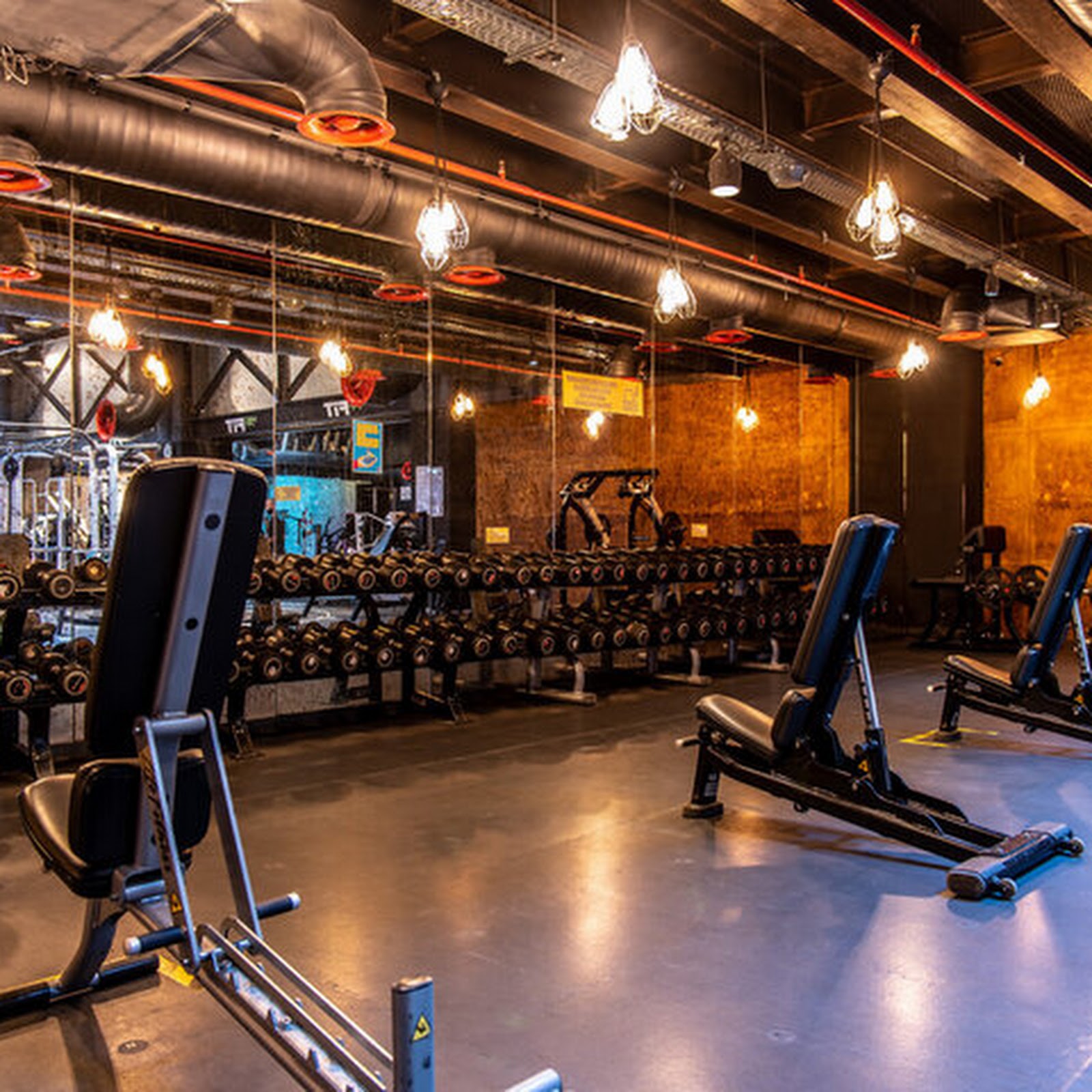 Астера - photo 5