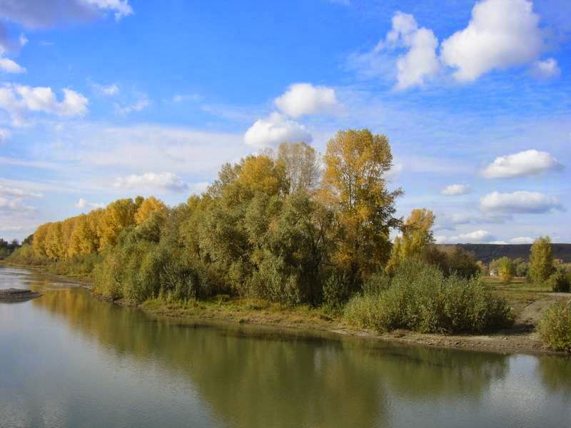 Санаторий Рассветы над Бией - photo 3