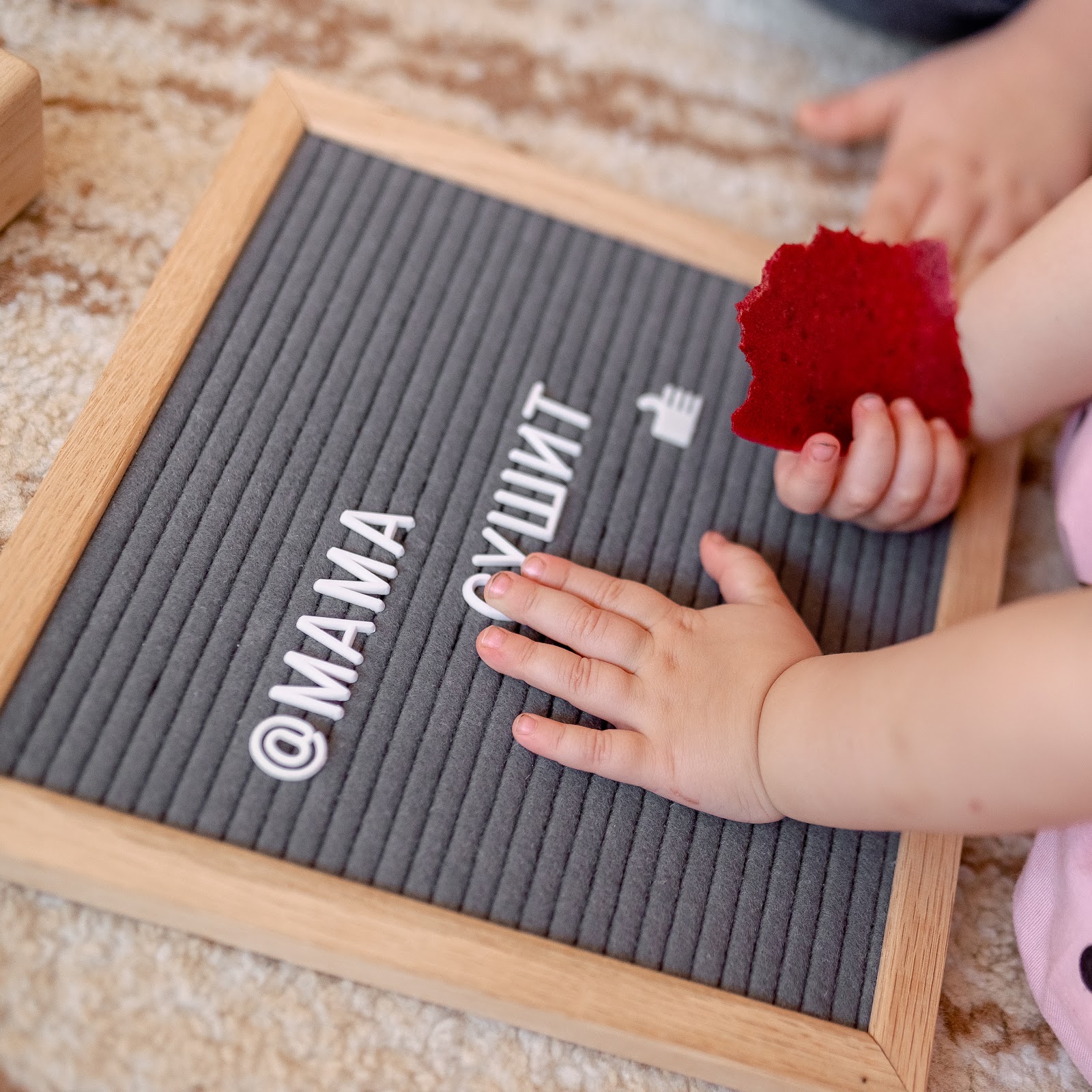 Sota House - photo 3