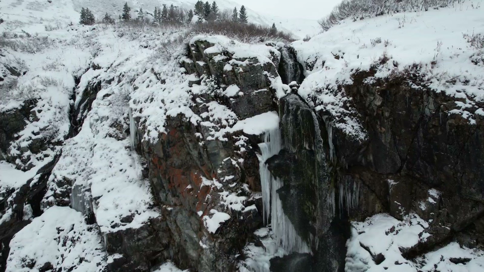 Больничка+ - photo 4