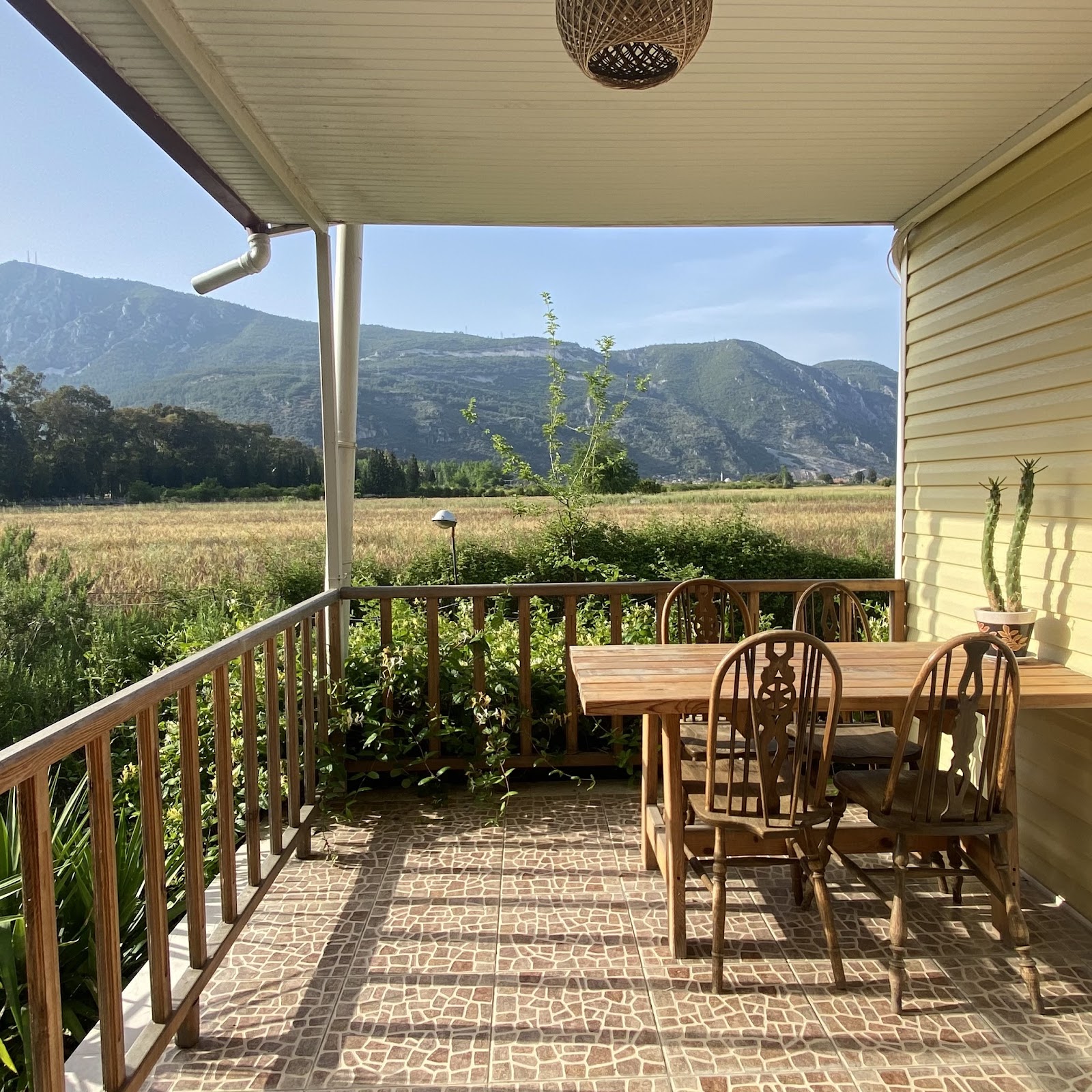 River House - photo 4