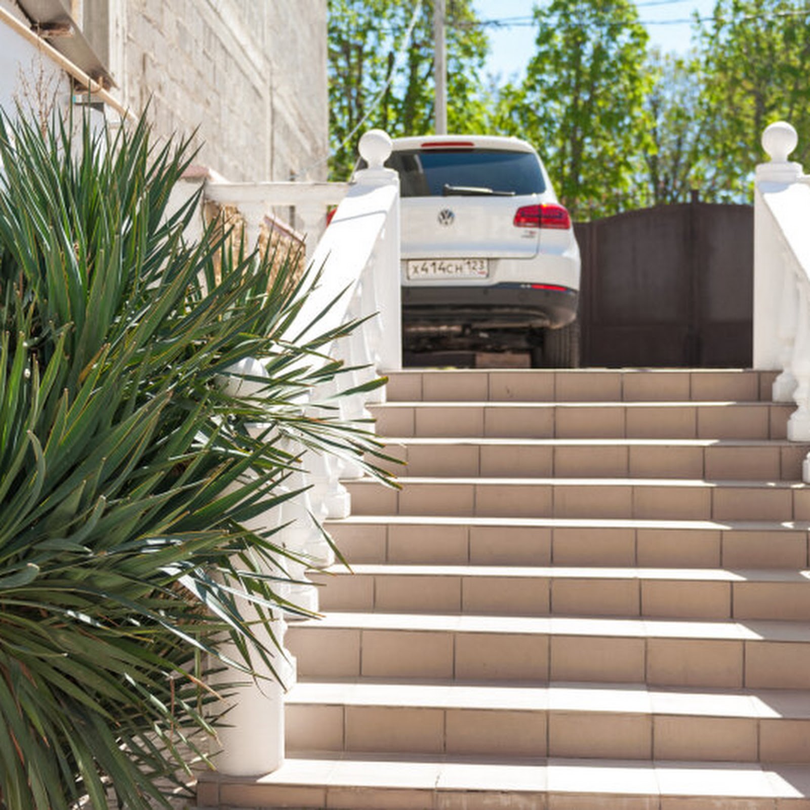 Зелёный дворик - photo 3