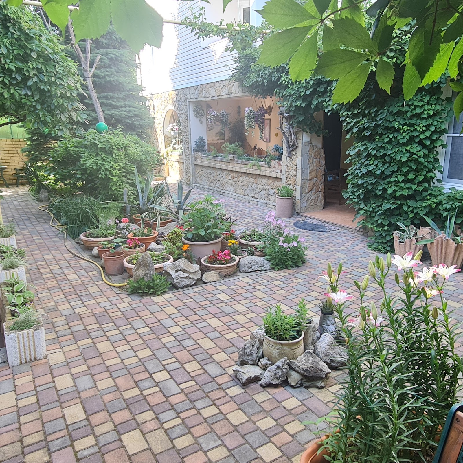 Майлан - photo 4