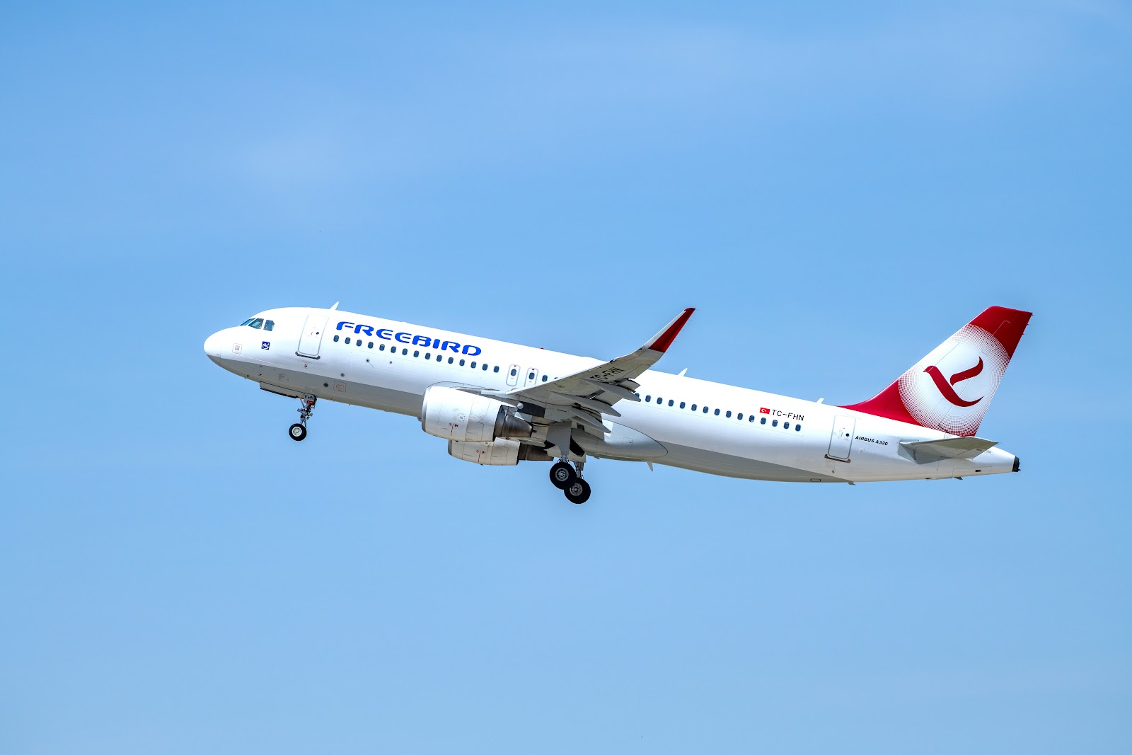 Гостевой дом "Bird Family" - photo 2