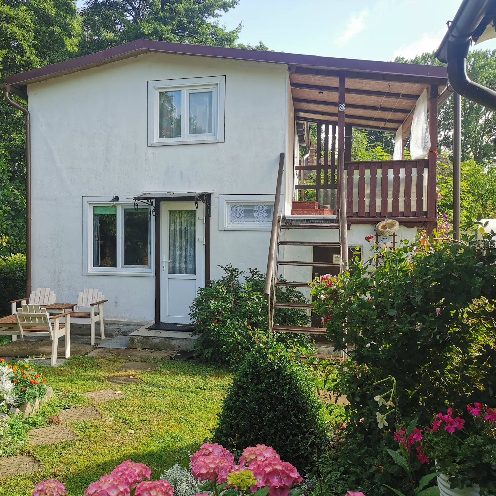 Трактир - photo 5