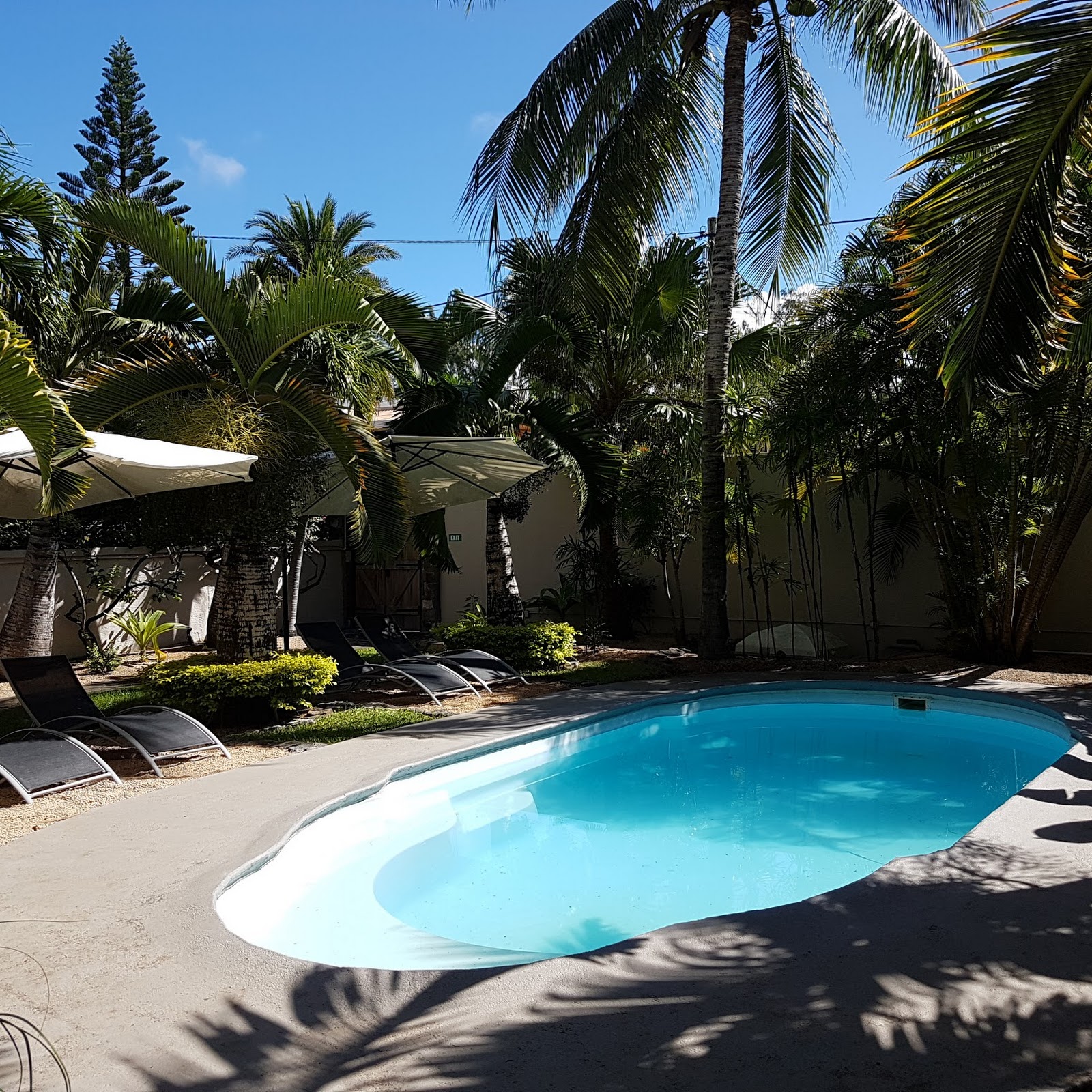 Sunrise Guesthouse - photo 4