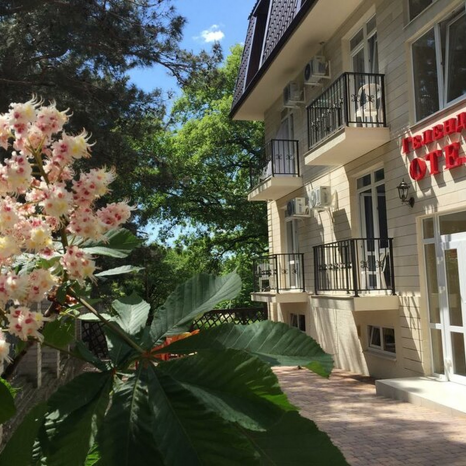 Частные апартаменты - photo 3