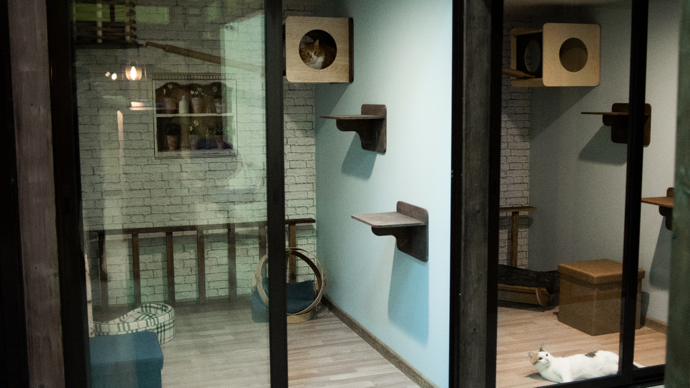 Роял Пэт палас - photo 1