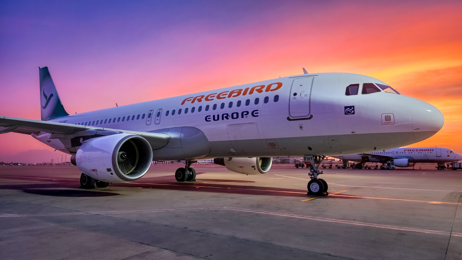 Гостевой дом "Bird Family" - photo 3