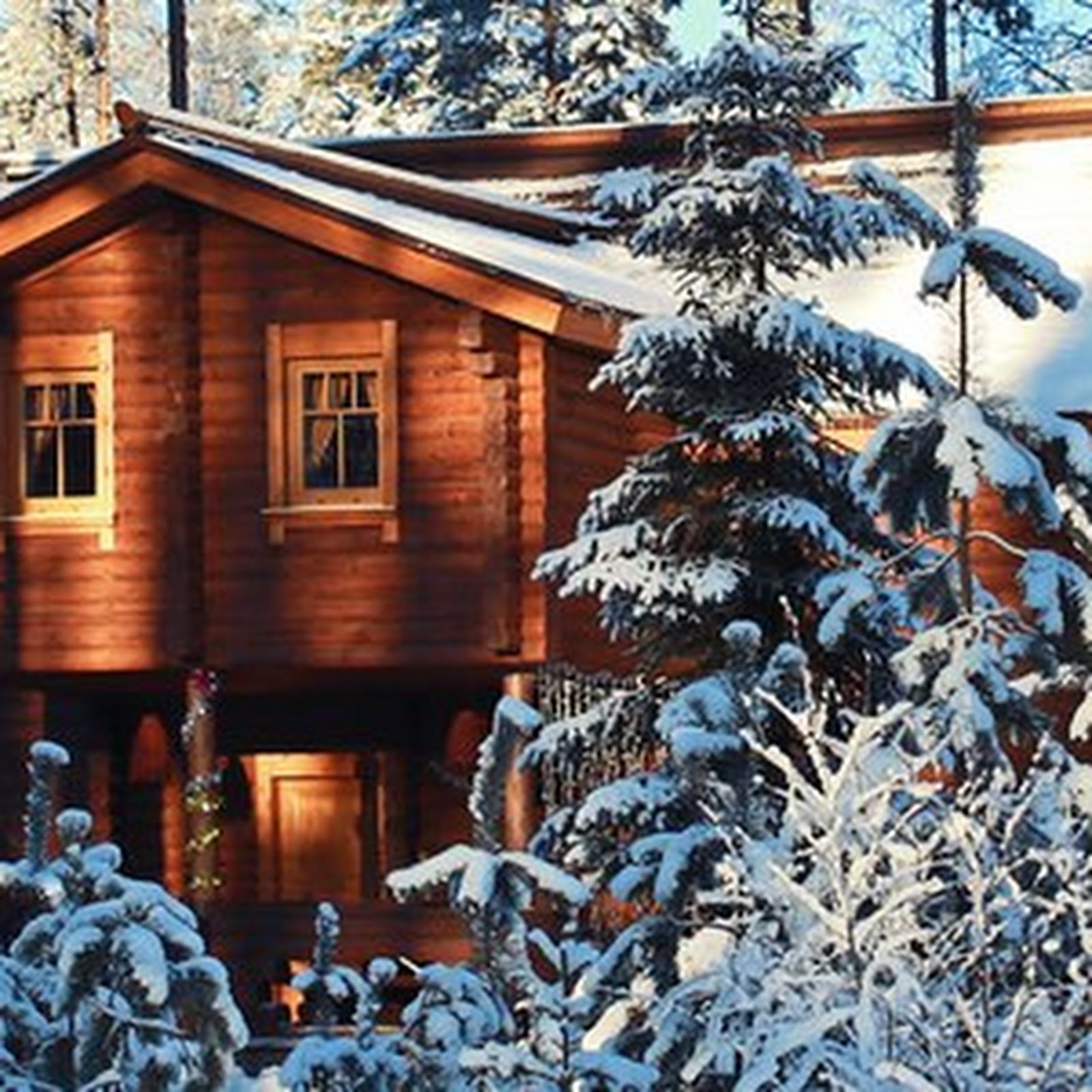 Дача у Игоры - photo 3