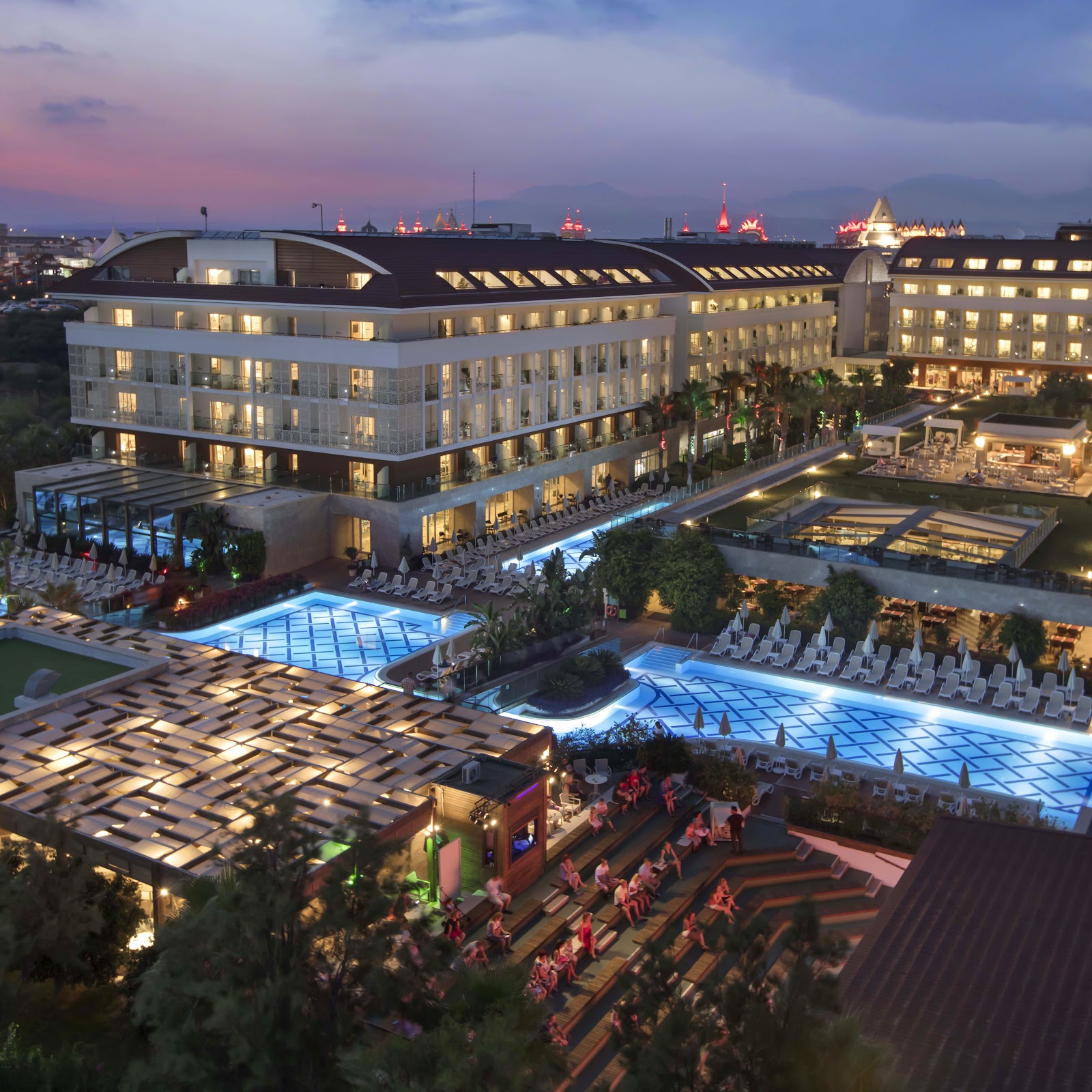 Вербена - photo 1