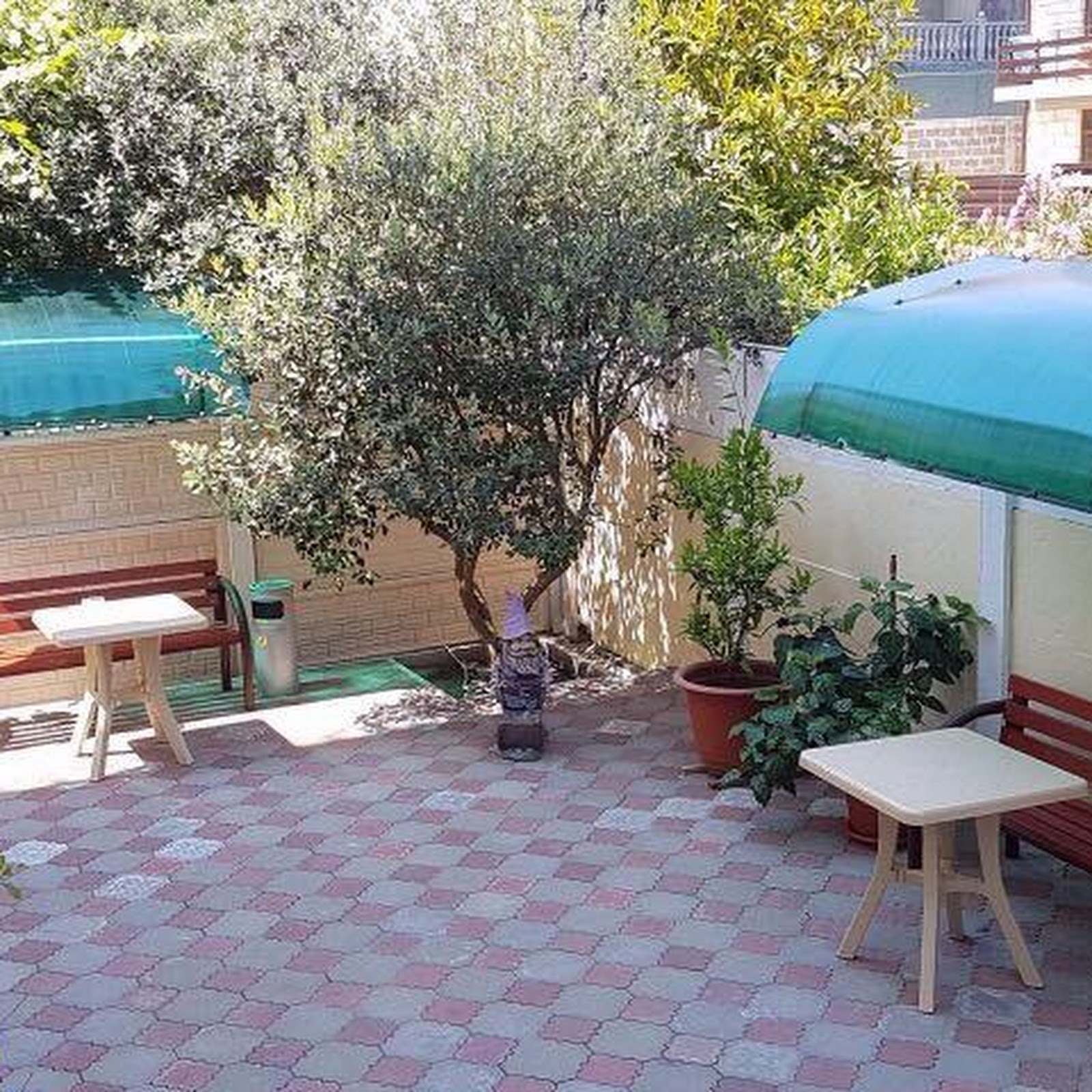 Гостиница Скарлетт - photo 5