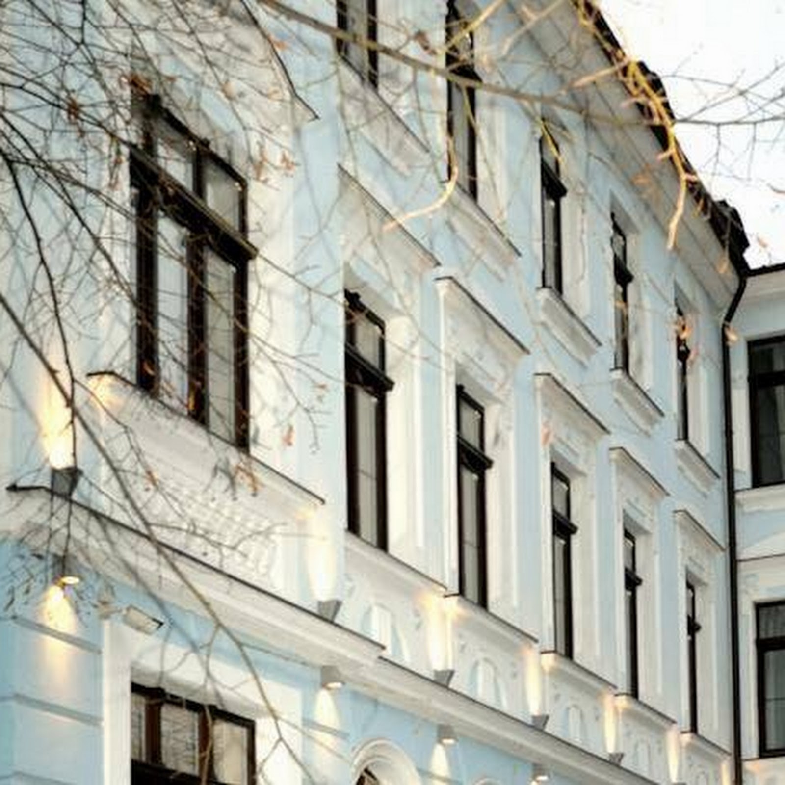 Черепаха - photo 2