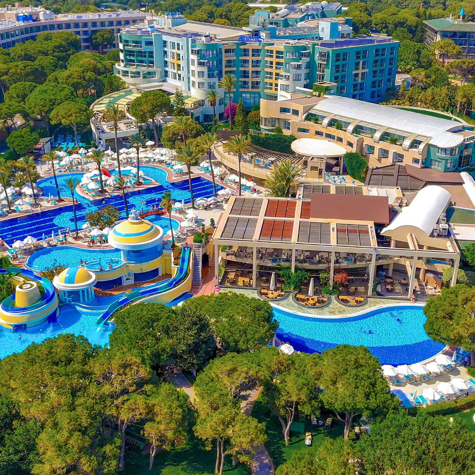 Визит - photo 3