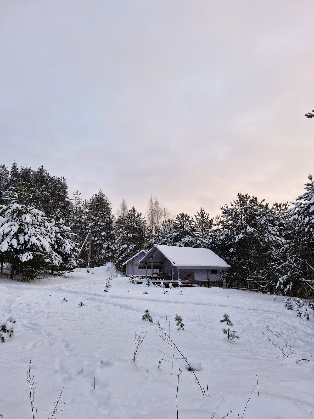 Йети на комете - photo 5