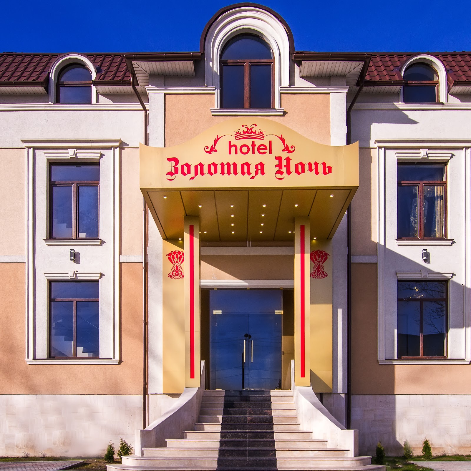 В библиотеке - photo 4