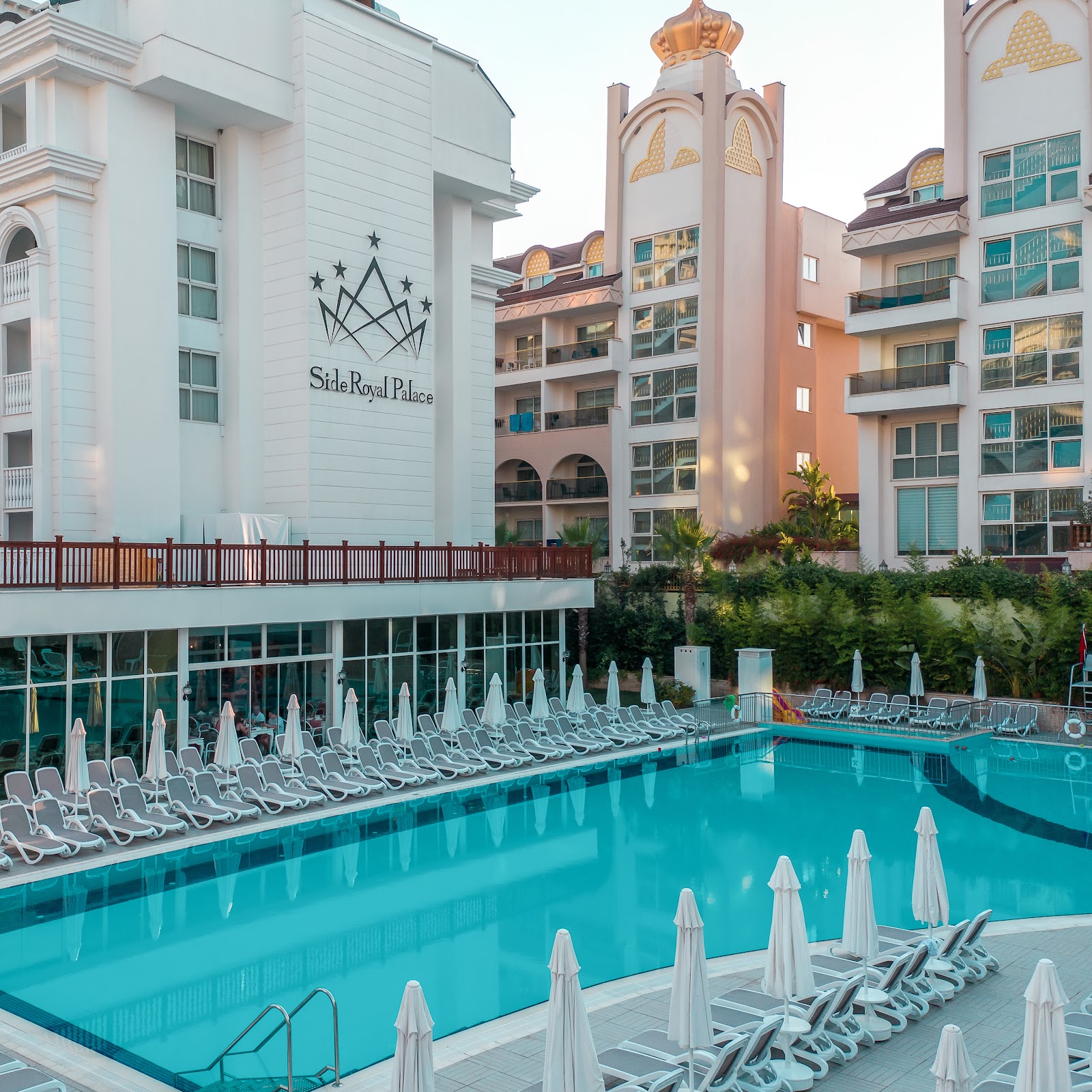 Вербена - photo 4