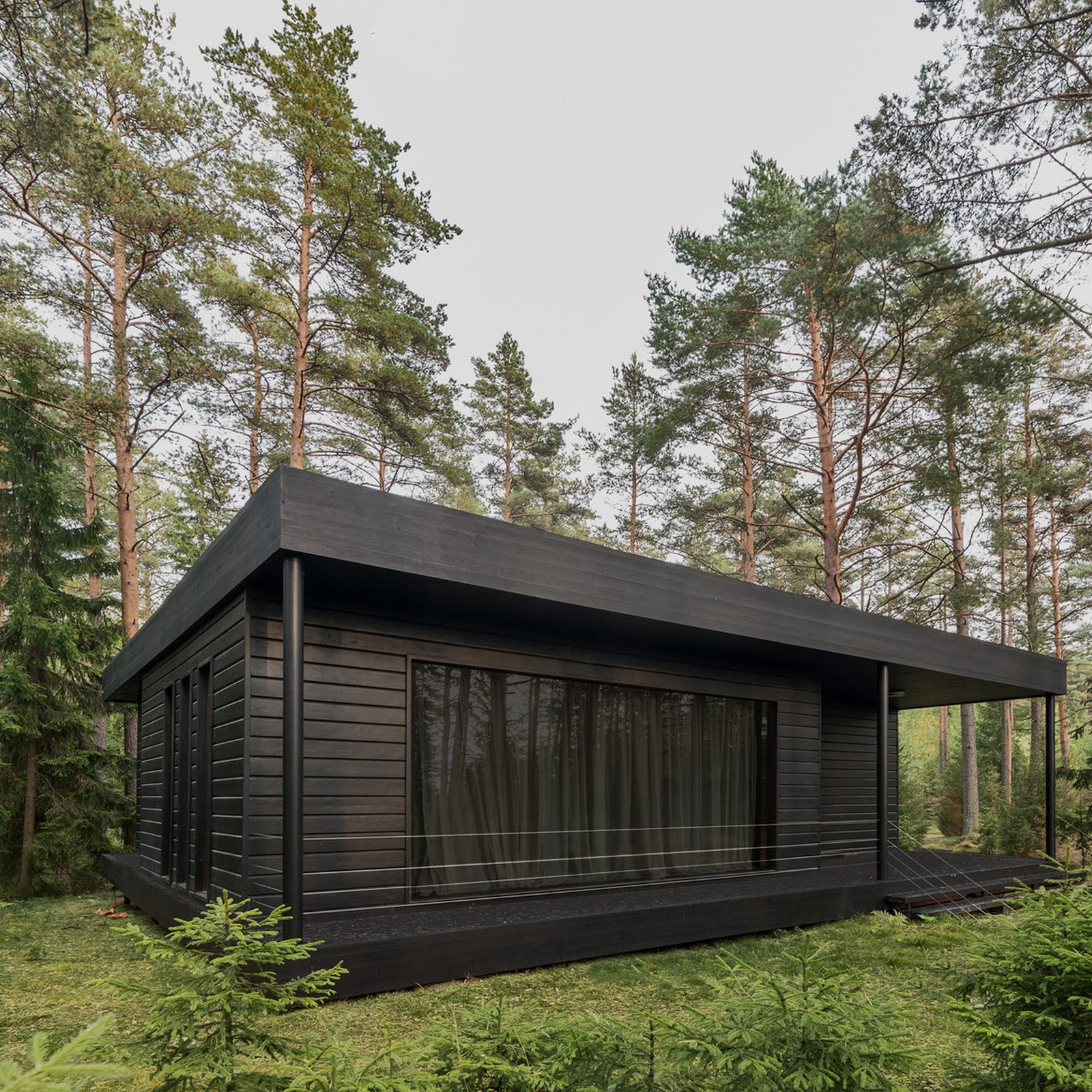 Белая Чайка - photo 4