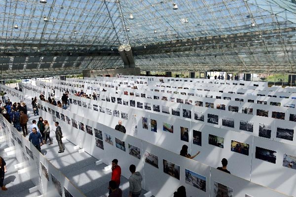 Пирамида - photo 4