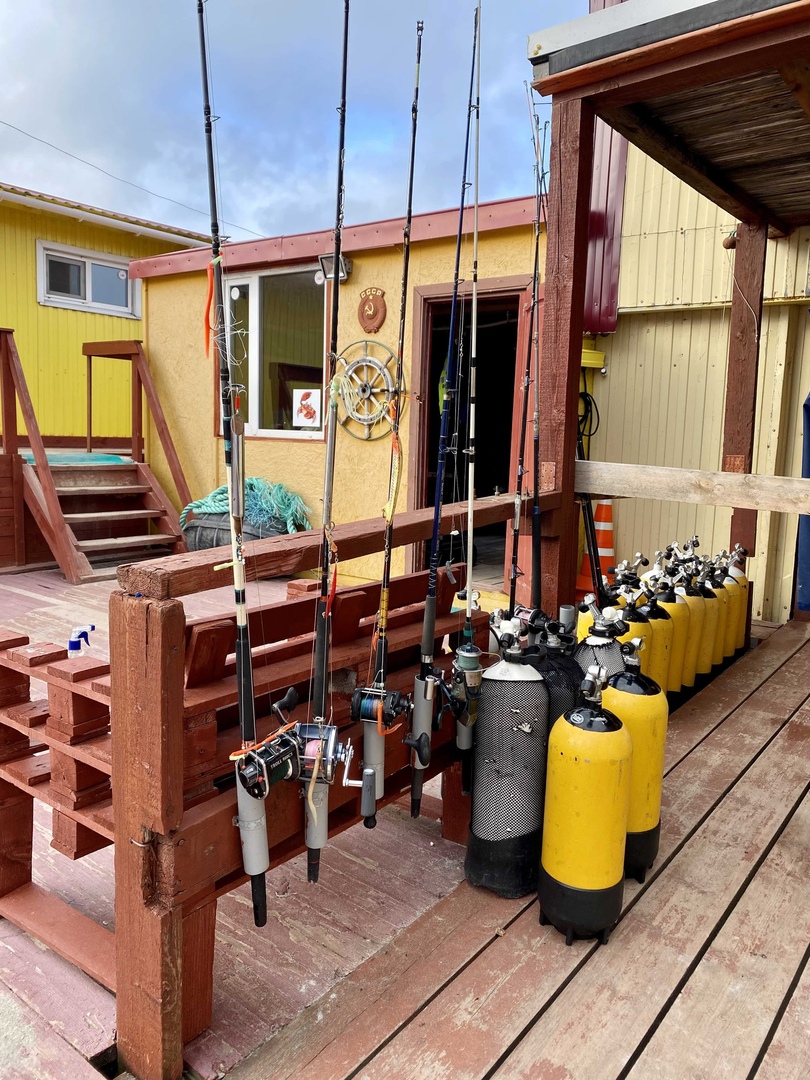 База отдыха "Мистер Ристи" - photo 2