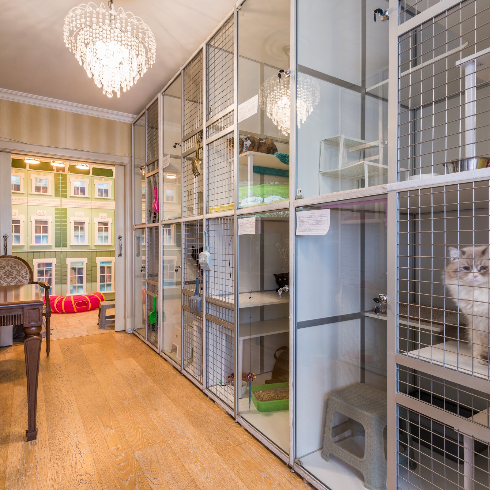 Отель для кошек. - photo 2