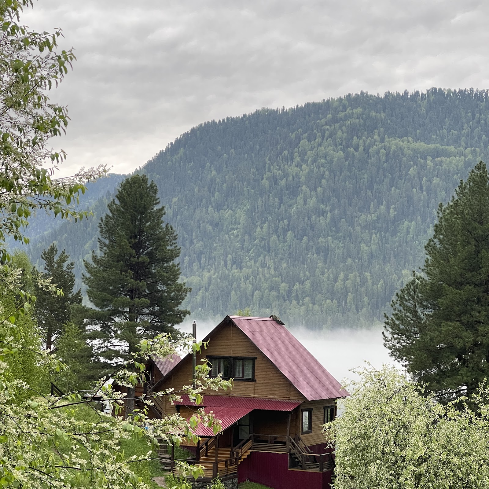 База отдыха "Лагуна" - photo 3