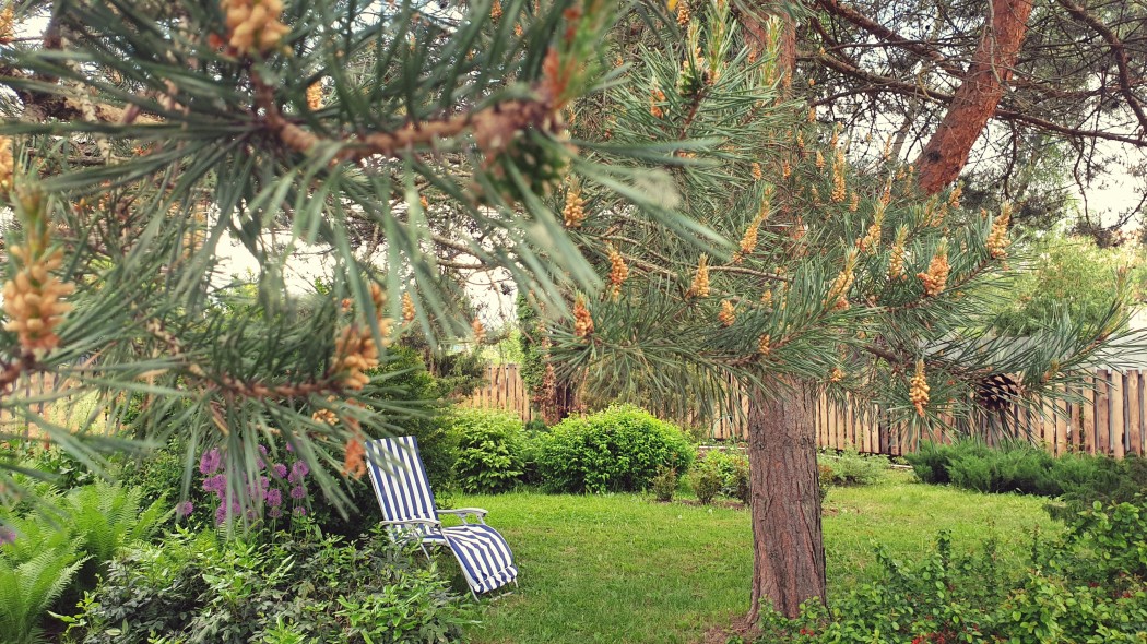 Арт-Отель - photo 1