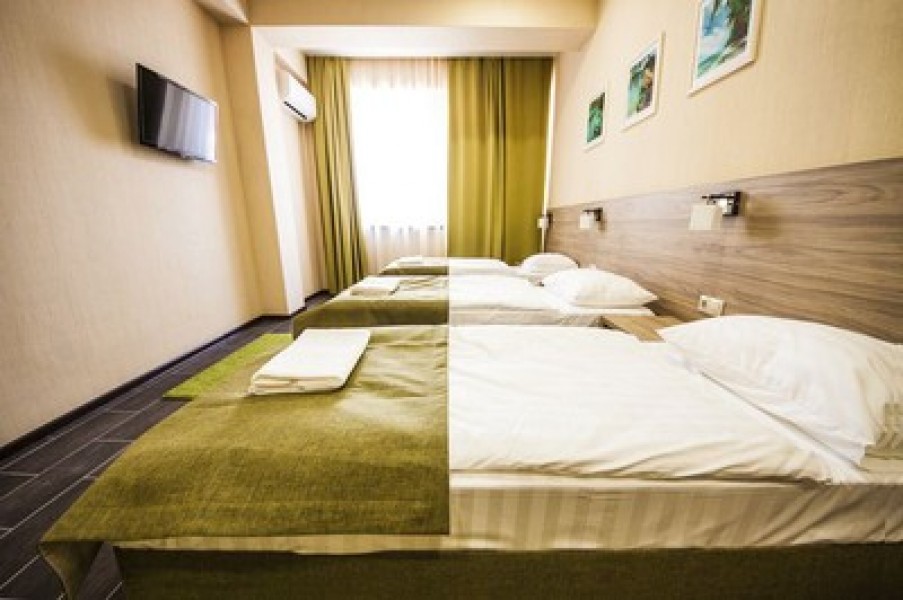 Пеликан - photo 1