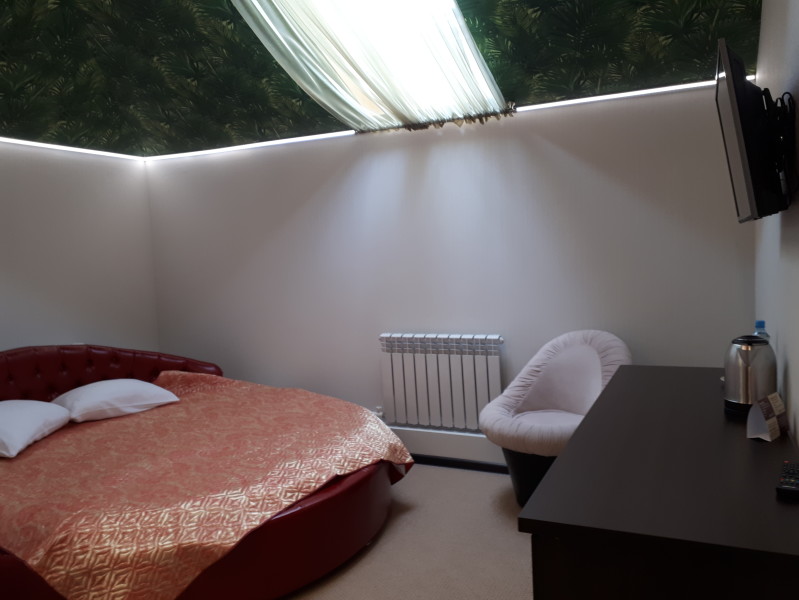 РЕВИЗОРЪ - photo 2