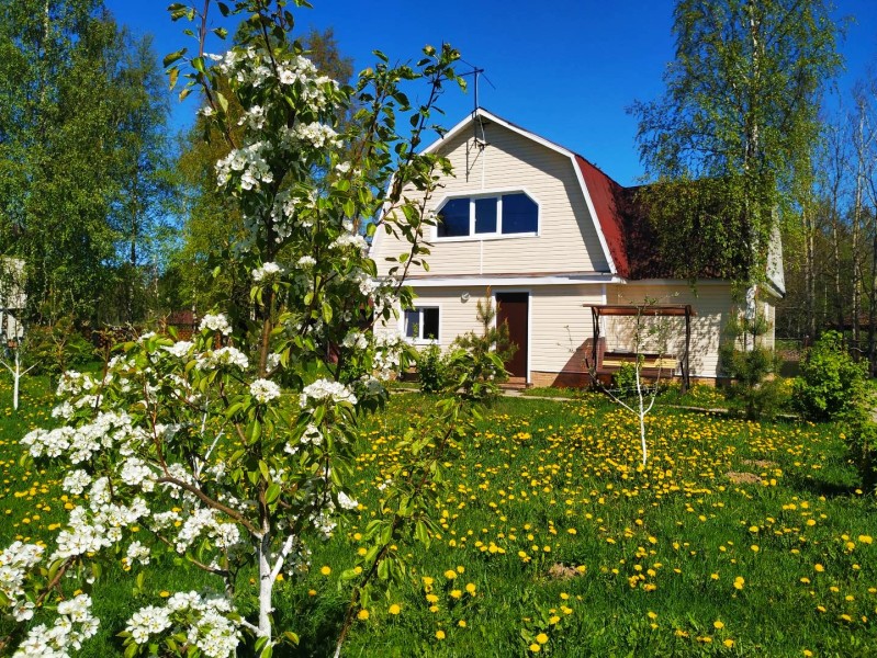 Деревня Назия