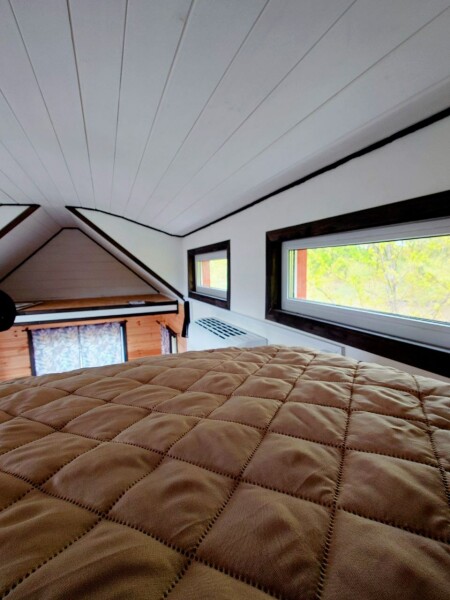 Побеги - photo 3